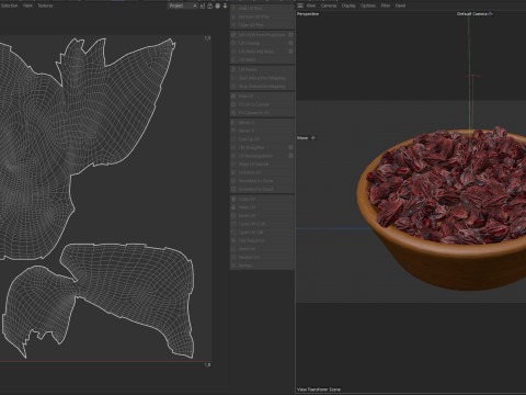 Raisins red bowl Model 3D