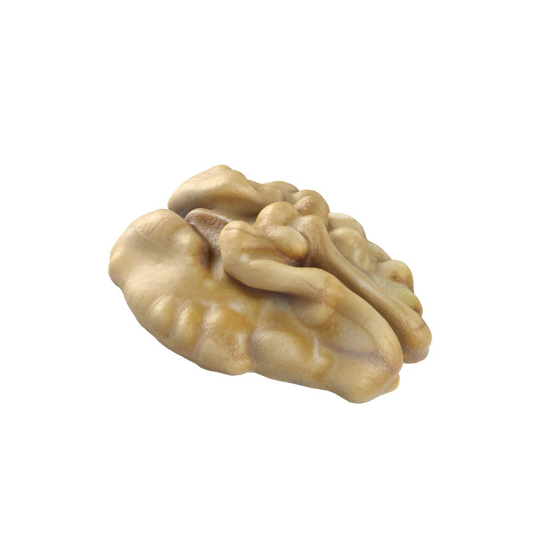 ウォールナット カーネル v2 3Dモデル .c4d .max .obj .3ds .fbx .stl .blend 