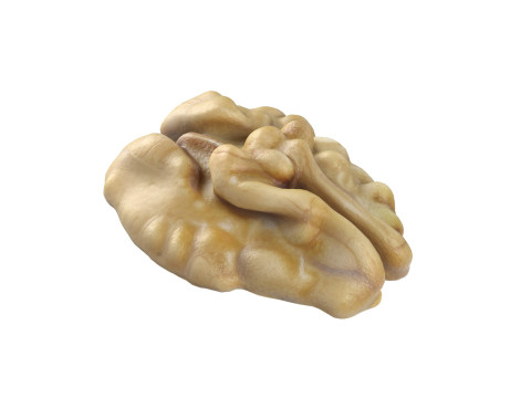 Walnut kernel v2 3D मॉडल