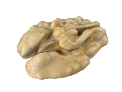 ウォールナット カーネル v2 3Dモデル