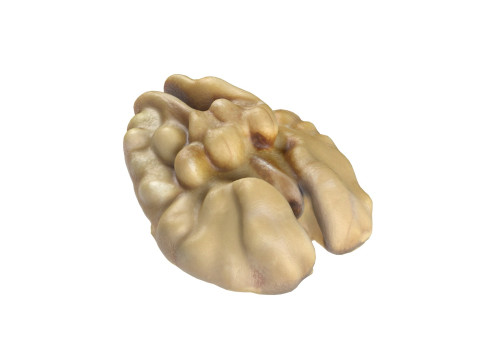 Walnut kernel v2 Modello 3D