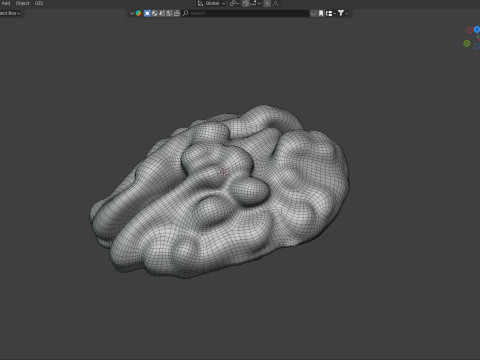 Walnut kernel v2 Modello 3D