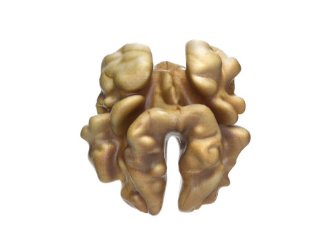 Walnut kernel v3 3D मॉडल