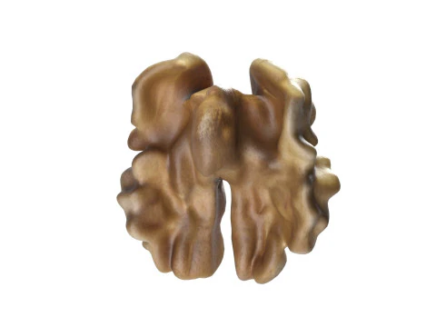 Walnut kernel v3 3D Model