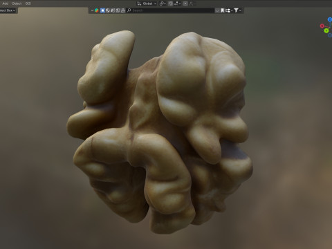 Walnut kernel v3 Modelo 3D