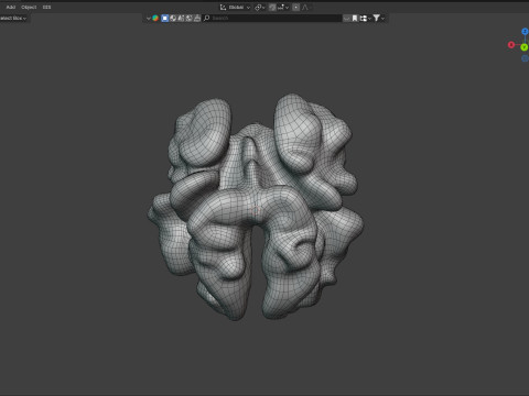 Walnut kernel v3 Modelo 3D