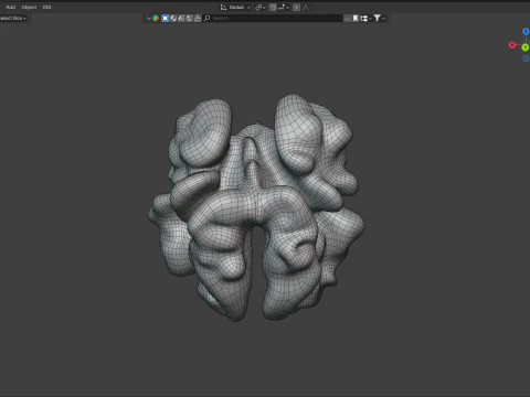 Walnut kernel v3 3D Model
