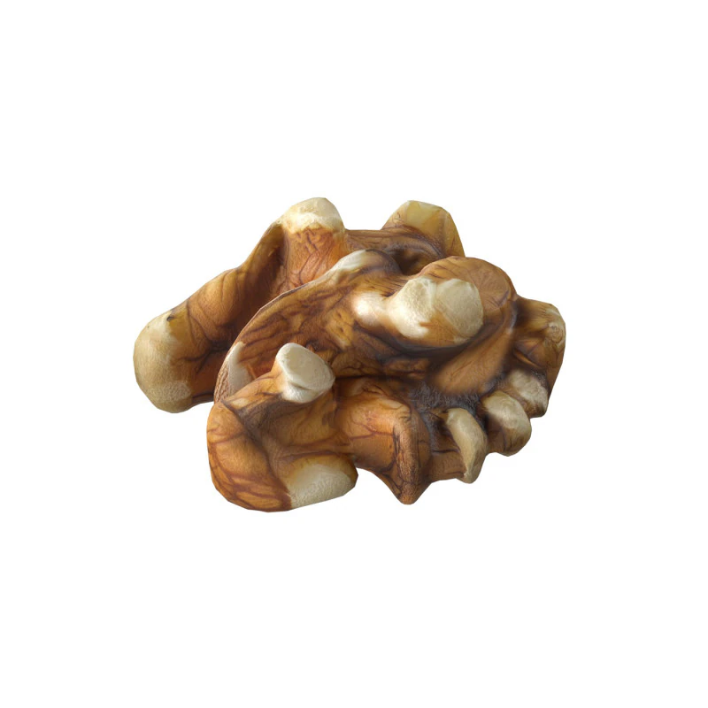 Walnut kernel v4 3D Model .c4d .max .obj .3ds .fbx .stl .blend 