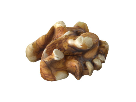 Walnut kernel v4 3D मॉडल