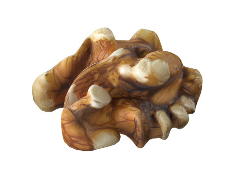 Walnut kernel v4 3D Модель