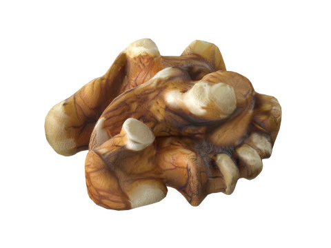 Walnut kernel v4 3D Model