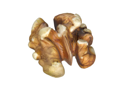 Walnut kernel v4 3D Model