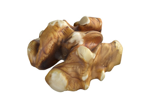 Walnut kernel v4 3D Модель