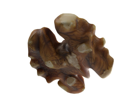 Walnut kernel v4 3D Модель