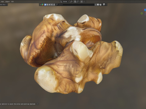 Walnut kernel v4 3D Модель