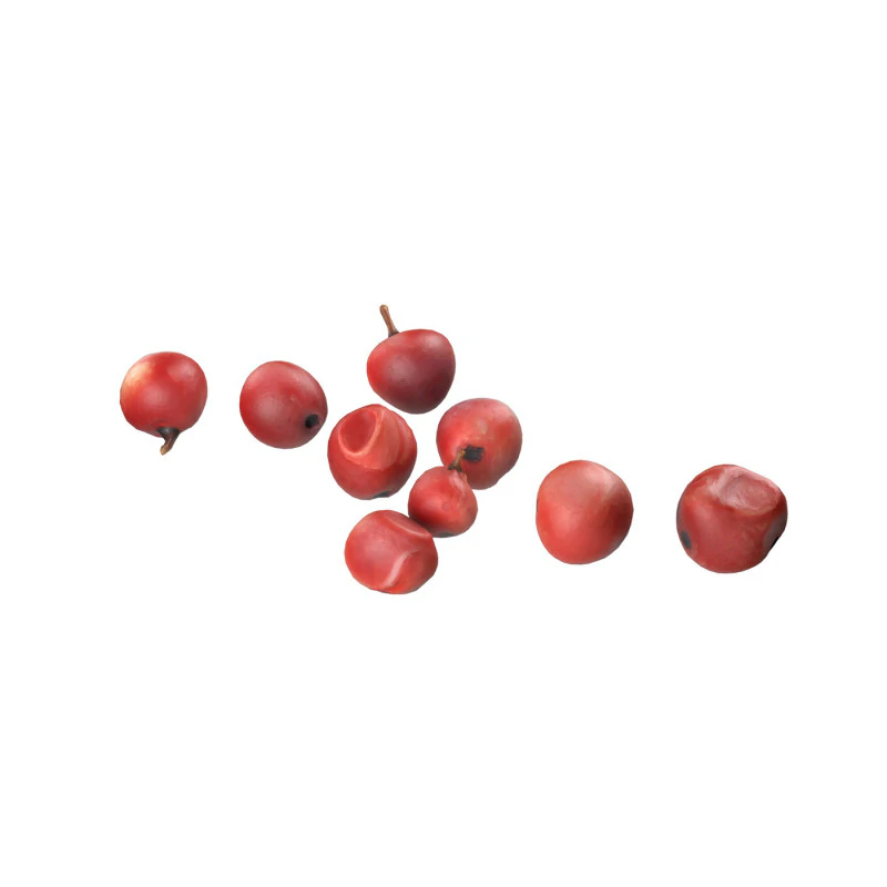 Red Dried Peppercorn 3D Model .c4d .max .obj .3ds .fbx .stl .blend 