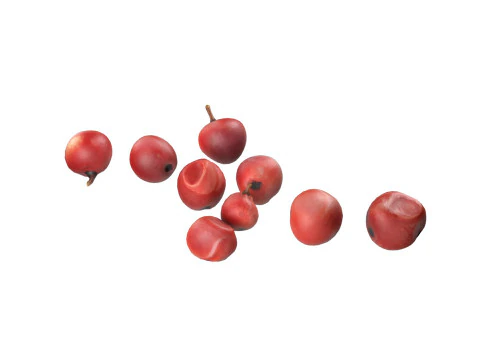 Red Dried Peppercorn 3D Model