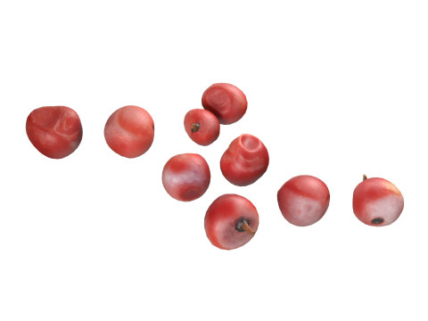 Red Dried Peppercorn 3D Model