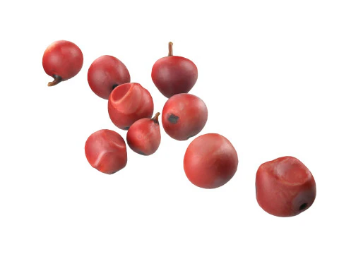 Red Dried Peppercorn 3D Model