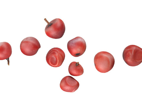Red Dried Peppercorn 3D Model