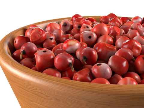 Red dried peppercorn bowl 3D Model