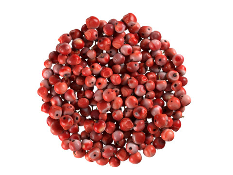 Red dried peppercorn bowl 3D Model
