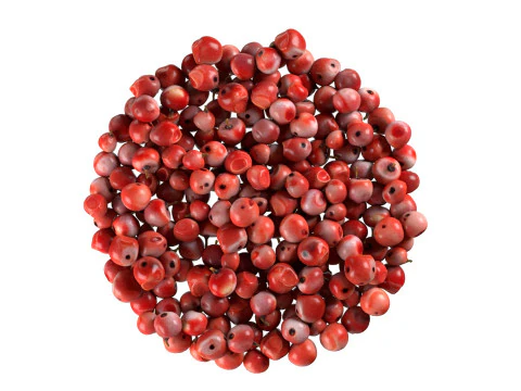 Red dried peppercorn bowl 3D Model