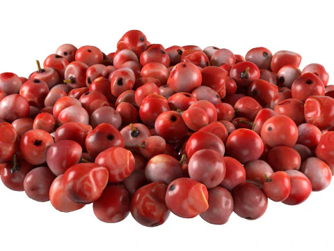 Red dried peppercorn bowl 3D Model