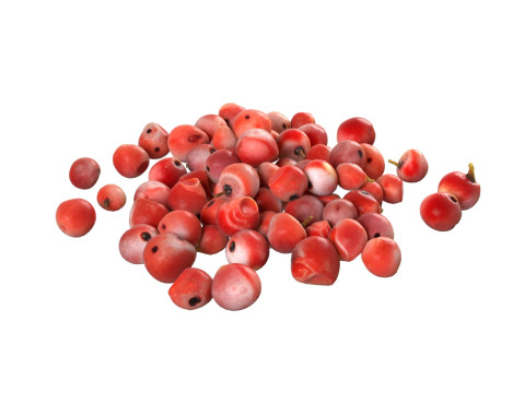 Red dried peppercorn pile Modelo 3D