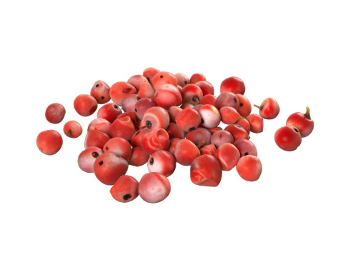 Red dried peppercorn pile 3D Model
