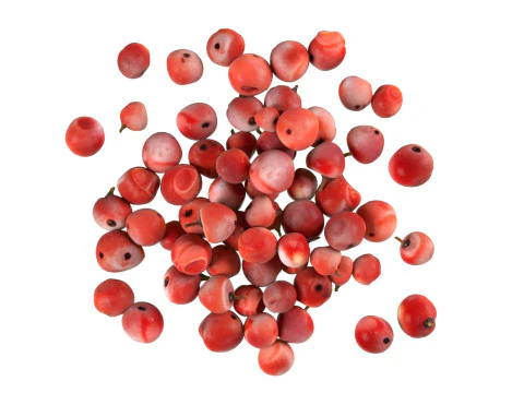 Red dried peppercorn pile 3D Model