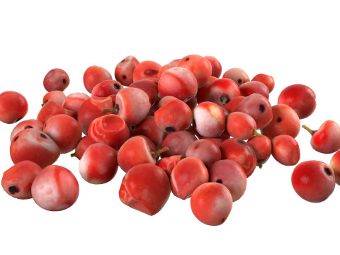 Red dried peppercorn pile Modelo 3D