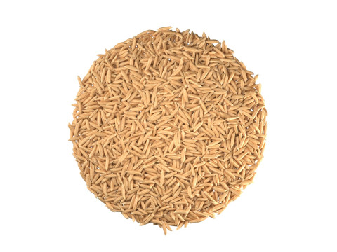 Dry Rice grain bowl Modelo 3D