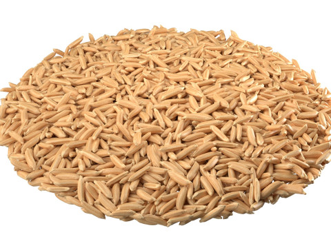 Dry Rice grain bowl Modelo 3D