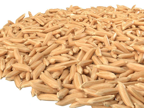 Dry Rice grain bowl 3D Model