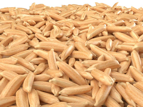 Dry Rice grain bowl 3D Model