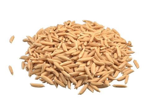 Dry Rice grain pile 3D मॉडल