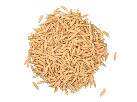 Dry Rice grain pile 3D Model