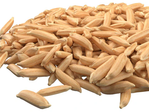 Dry Rice grain pile 3D Model