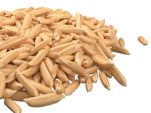 Dry Rice grain pile 3Dモデル