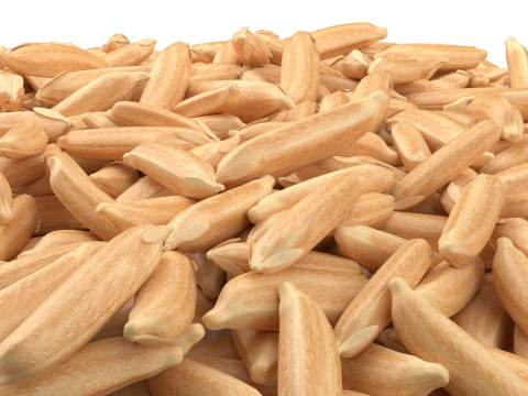 Dry Rice grain pile 3D Model