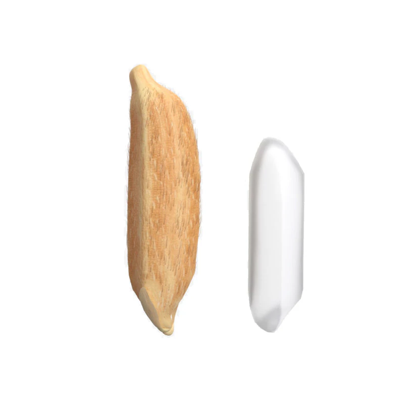 Rice grain dry and raw 3D Model .c4d .max .obj .3ds .fbx .stl .blend