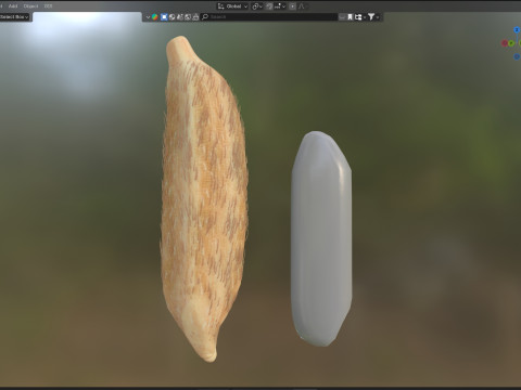 Rice grain dry and raw 3D Model
