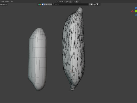 Rice grain dry and raw 3D Model