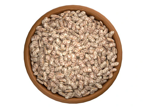Roman Beans 3D Model