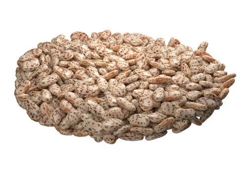 Roman Beans 3D Model
