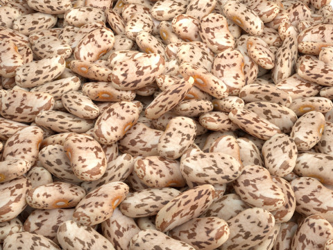 Roman Beans Model 3D