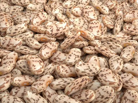 Roman Beans 3D Model