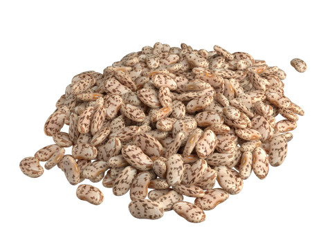 Roman beans pile 3D मॉडल