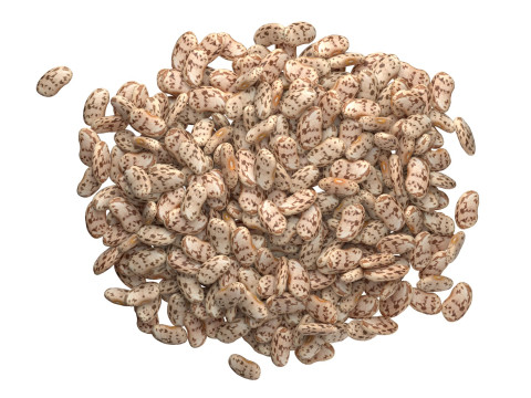 Roman beans pile 3D Модель